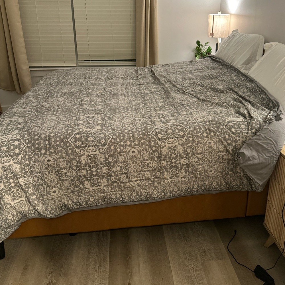 Ballard Designs Suri Printed Velvet King Duvet